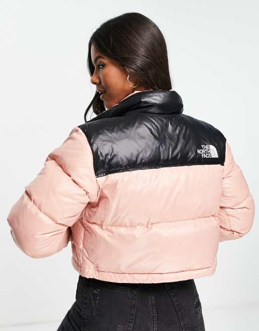 Veste north face rose hot sale