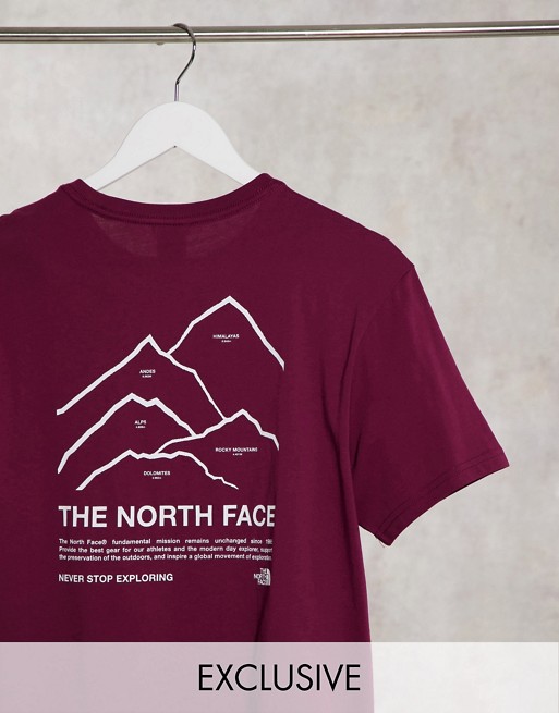 The North Face Peaks t-shirt in red Exclusive at ASOS