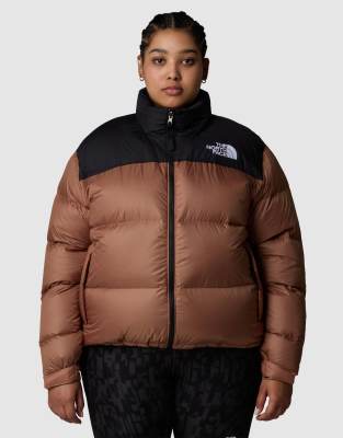 The North Face Plus 1996 Retro Nuptse - Jacke in Latte und TNF-Schwarz-Braun