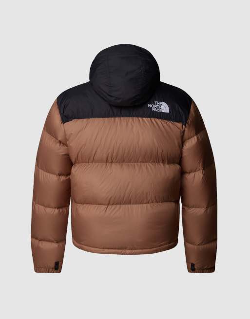 The North Face Plus size - 1996 Retro Nuptse - Jack in groen en latte en zwart, 3 van 4