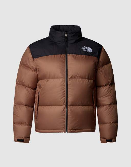 The North Face Plus size - 1996 Retro Nuptse - Jack in groen en latte en zwart, 4 van 4