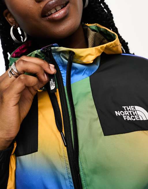 North face 2024 multicolor coat