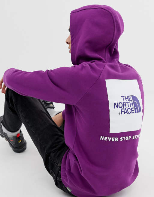 THE NORTH FACE - Sweat à capuche Homme RAGLAN REDBOX