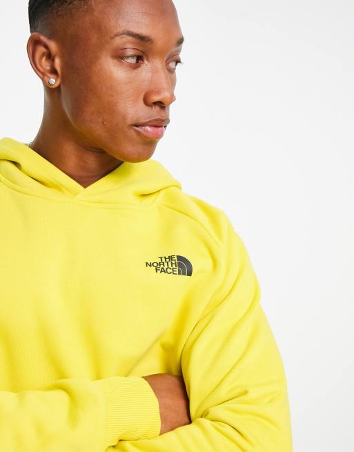 The north face 2025 raglan box hoodie