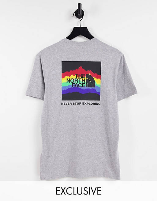  The North Face Rainbox t-shirt in grey Exclusive at  
