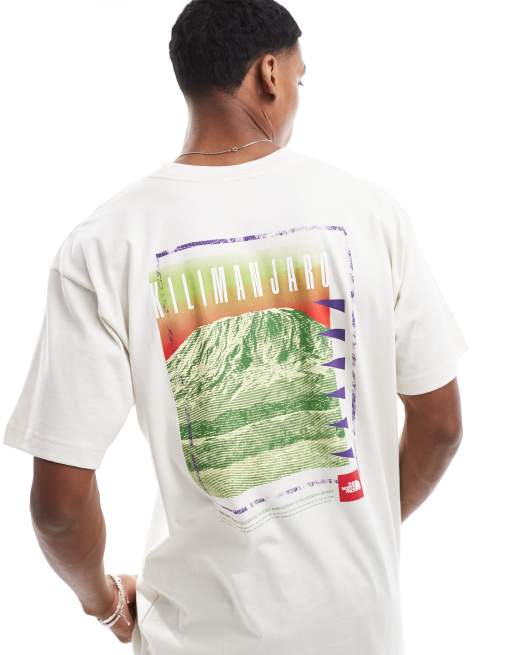 【美品‼️】THE NORTH FACE Graphic Woven Tee The North Face Boy's Taupe Green Graphic Tee Size M | eBay