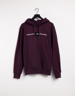 The North Face Reds Pullover Hoodie In Burgundy-brown