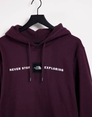 north face never stop exploring hoodie