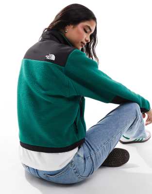 The North Face Retro Denali heavyweight polar fleece jacket in green