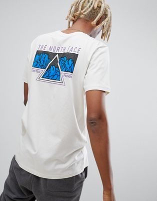The North Face Ridge T-Shirt in Vintage 