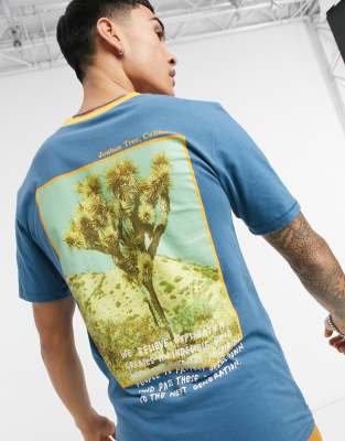 north face joshua tree t shirt