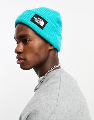 The North Face Salty Dog ribbed beanie in blue