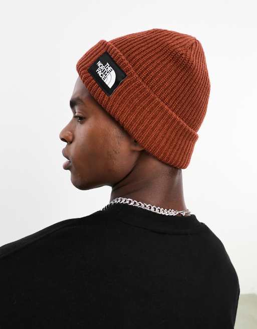 The north face deals beanie salty dog