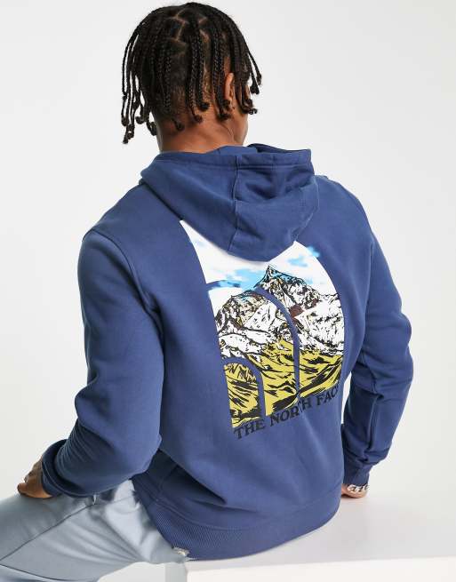 The North Face Seasonal back print hoodie in navy