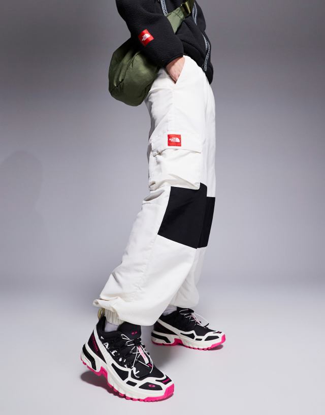 パンツ THE NORTH FACE 7 SUMMITS 95 Himalayan The North Face Seven Summits Himalayan cargo track pants in off