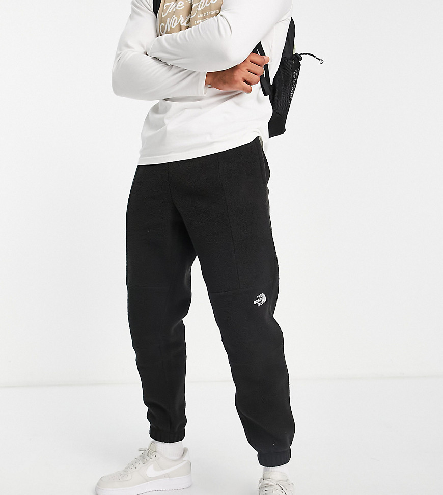 The North Face Shispare high pile fleece sweatpants in black - Exclusive to ASOS