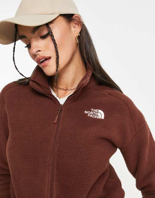 North face fleece hot sale brown