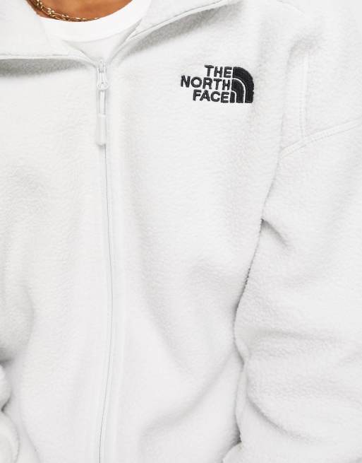 Gray fuzzy store north face jacket