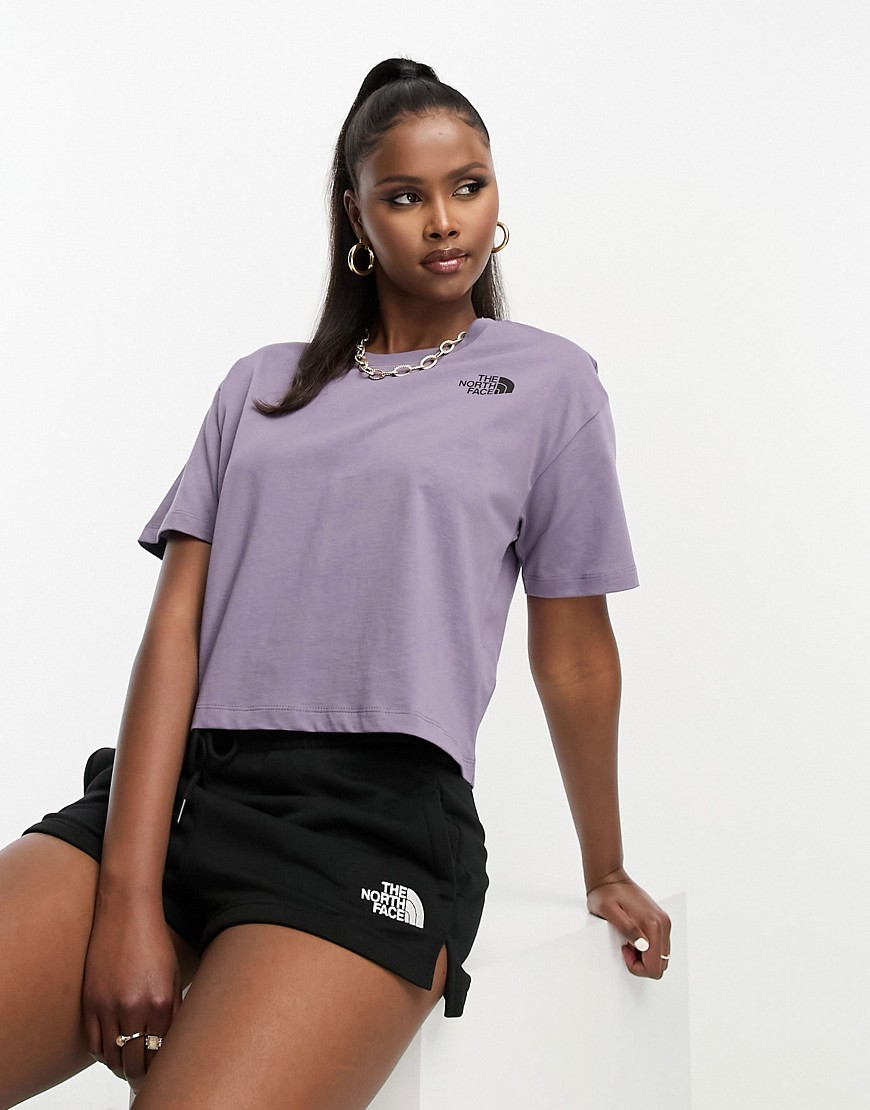The North Face Simple Dome cropped t-shirt in slate grey