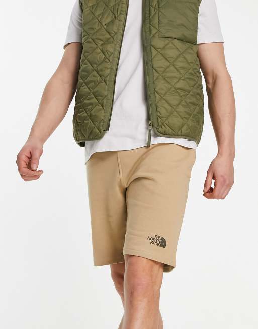 The North Face - Standard - Pantaloncini in pile leggeri color pietra