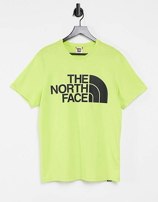 The North Face Standard t-shirt in green