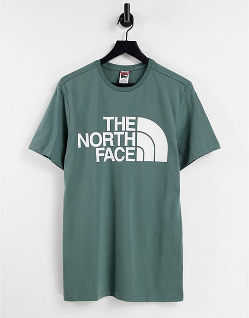  The North Face Standard t-shirt in green 