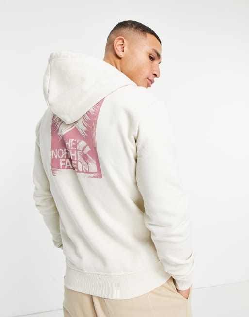 The north face 2024 mountain hoodie