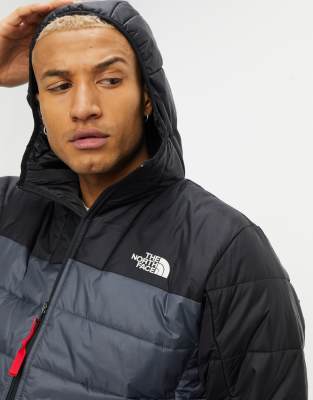 the north face coat grey