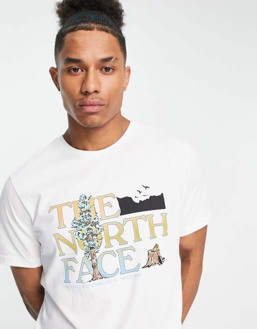 The North Face - T-shirt met grafische print op de borst in wit