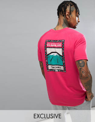 the north face t shirt pink