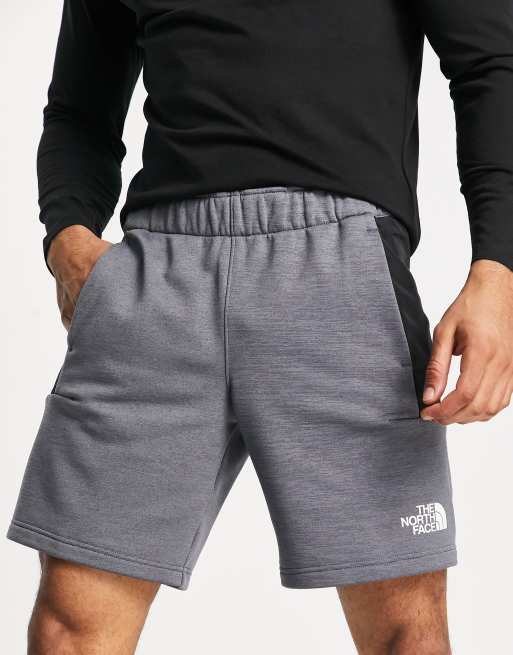 North face fleece shorts hot sale mens