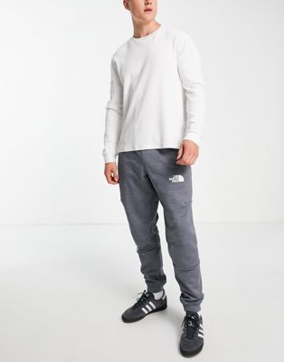 The North Face Training Mountain Athletic joggers in light grey