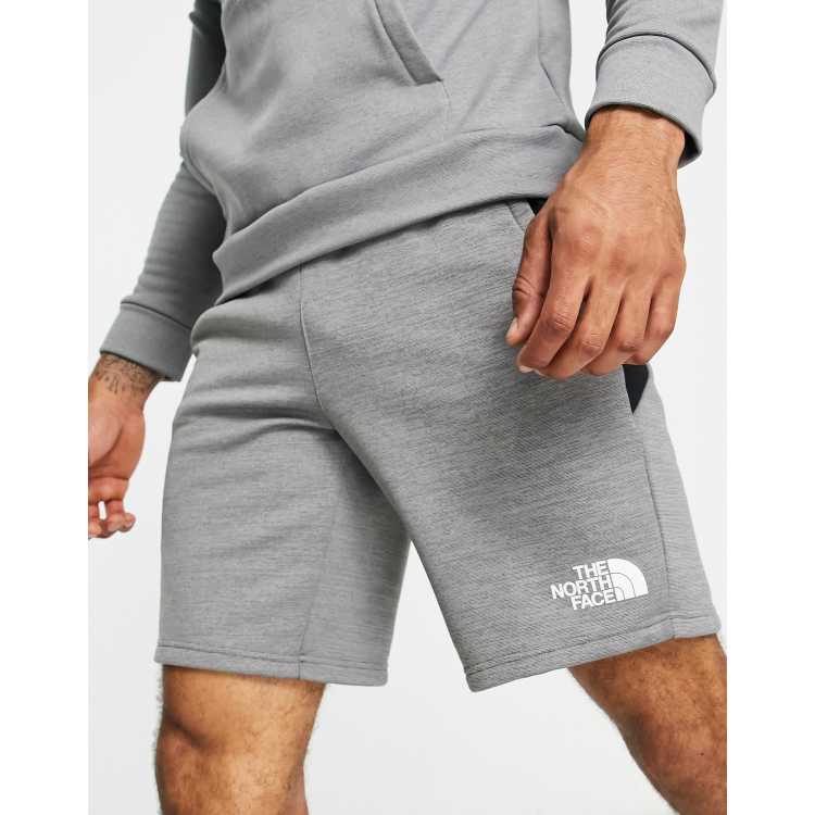 Mens grey sales north face shorts