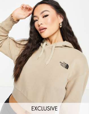 north face hoodie beige