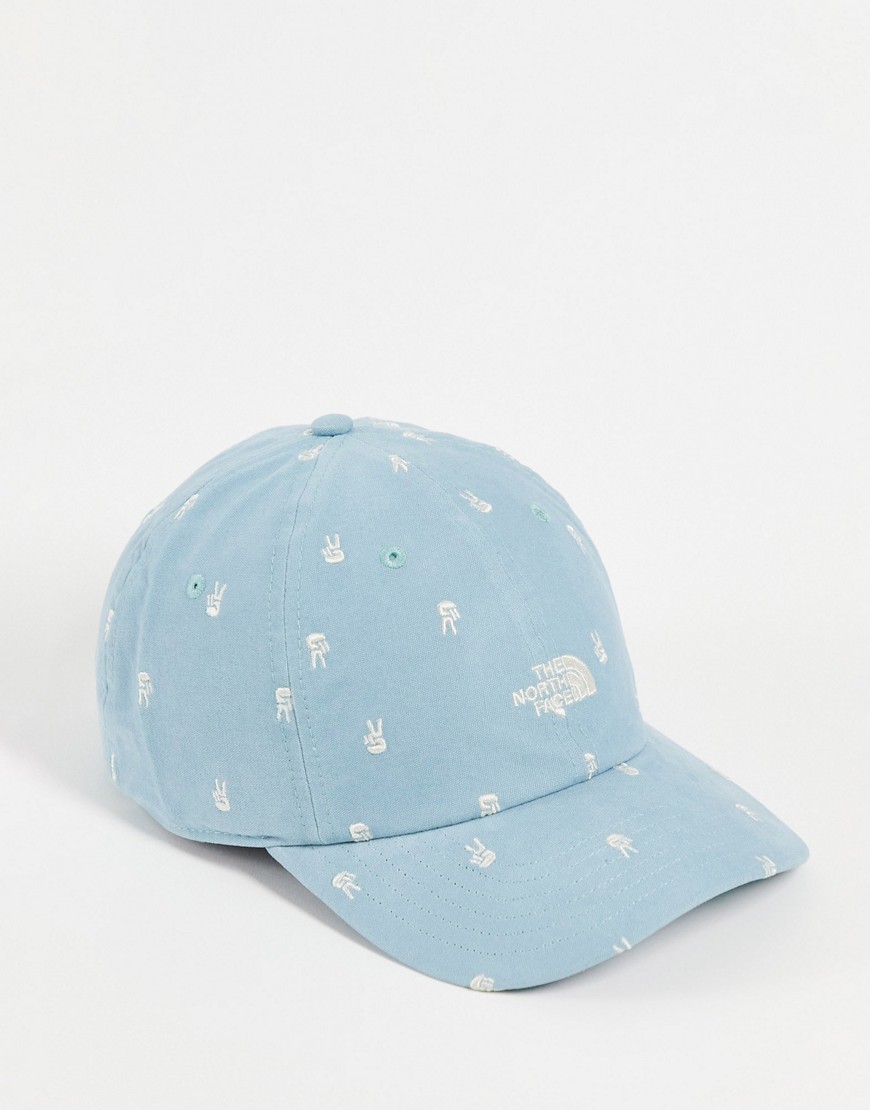 The North Face washed Norm Denim cap in blue-Blues