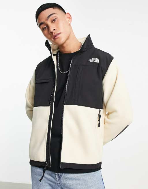 The north face cheap denali 2 fleece jacket