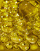 Thumbnail 2 von 4