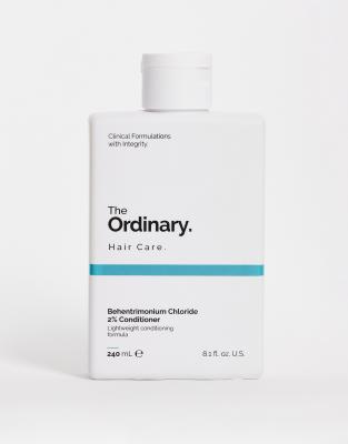 Shop The Ordinary Behentrimonium Chloride 2% Conditioner 8.1 Fl Oz-no Color