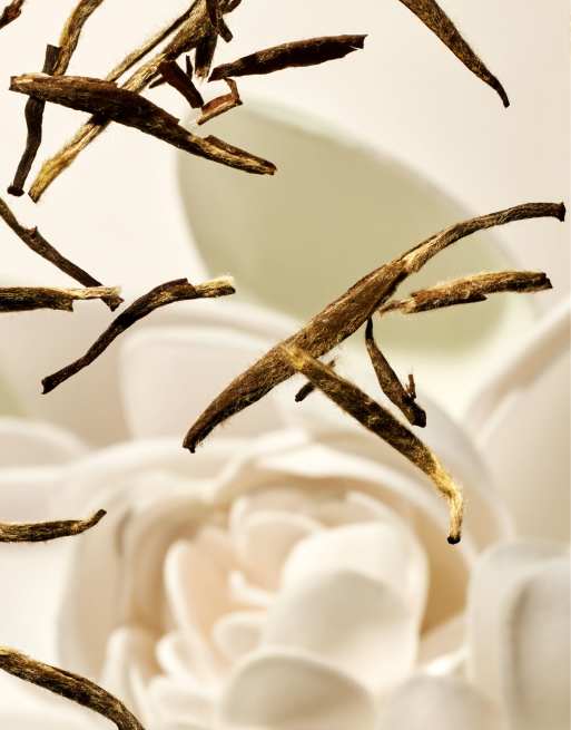 The Ritual of Karma Lotus Flower & White Tea Whipped Body Cream 220ml, 5 of 6