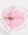 Thumbnail 3 of 4