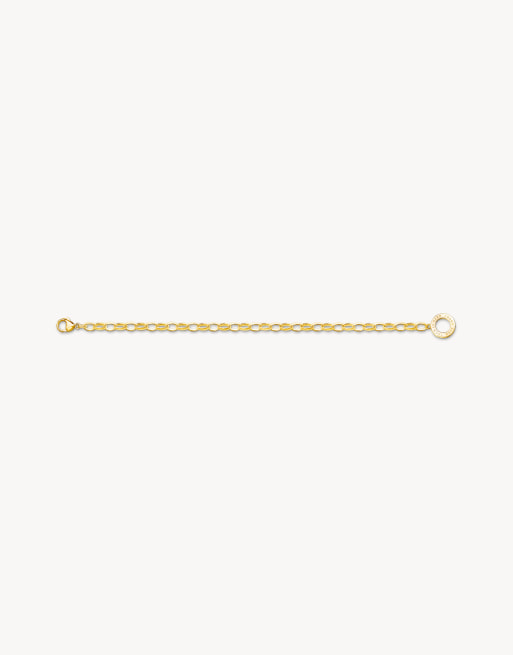 Thomas Sabo - Klassieke bedelarmband in goud, 2 van 3