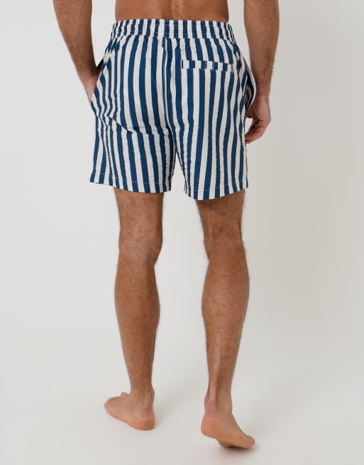 Threadbare – Badeshorts mit Streifen in Blau und Weiß, 3 von 4