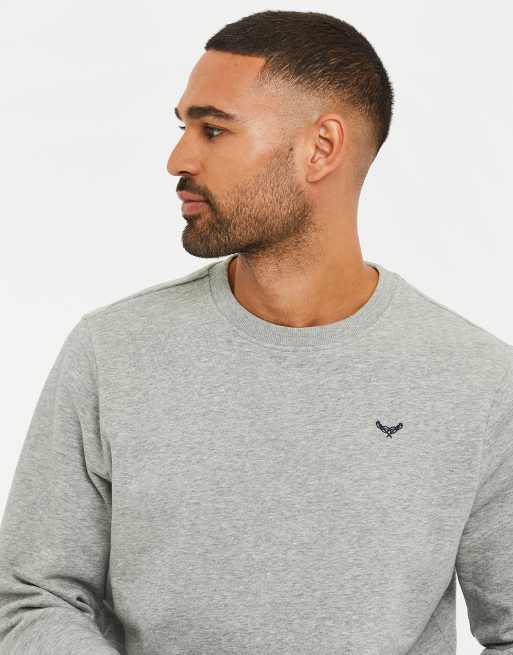 Threadbare Cotton blend crew neck sweatshirt in light grey, 3 of 4