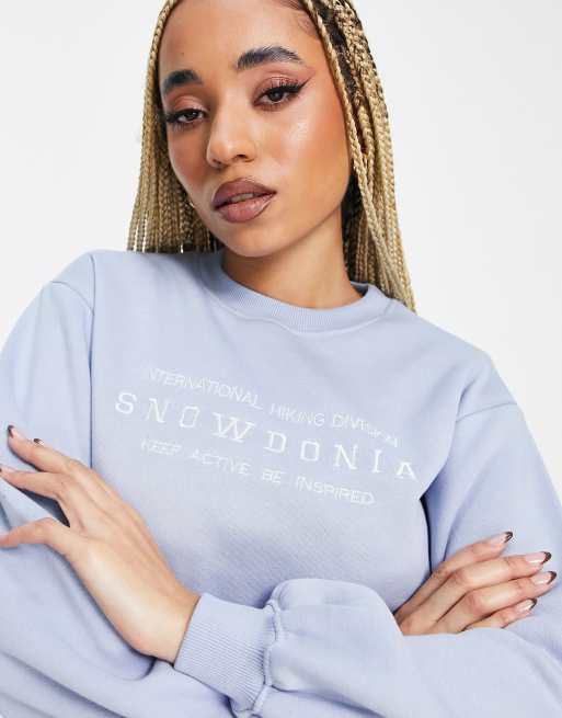 Threadbare Fitness Dixie embroidered sweatshirt in pale blue