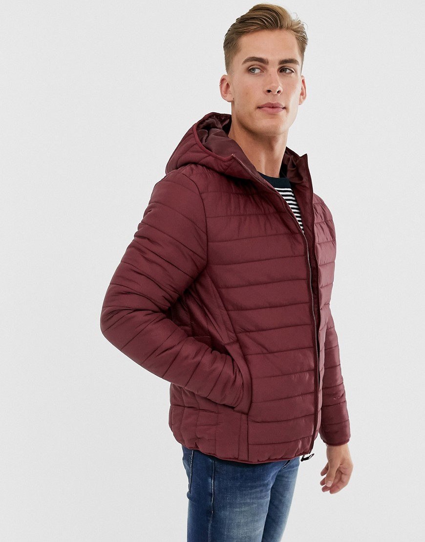 Threadbare hooded puffer jacket in burgundy-Red