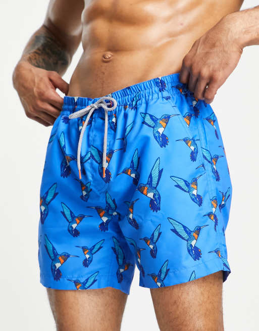 Threadbare – Joyas – Blå badshorts med kolibrimönster