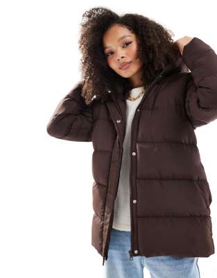 Threadbare - Mittellange Pufferjacke in Braun-Brown