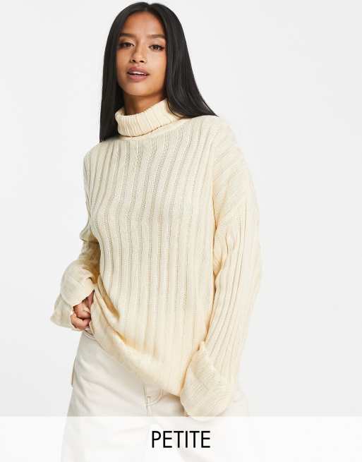 Petite roll hot sale neck jumper