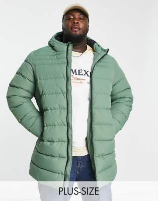 Threadbare Plus longline puffer jacket with hood in pale green