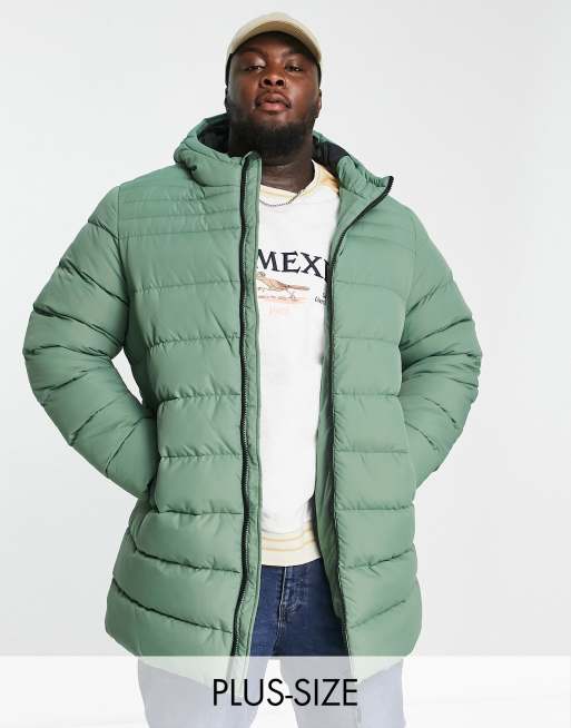 Threadbare Plus longline puffer jacket with hood in pale green | ASOS